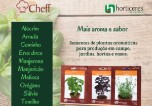 Linha cheff site 02-06